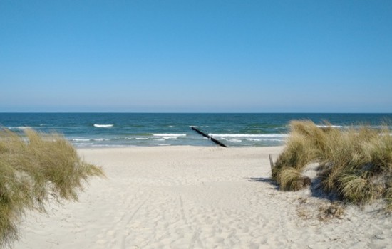 Пакет Балтика